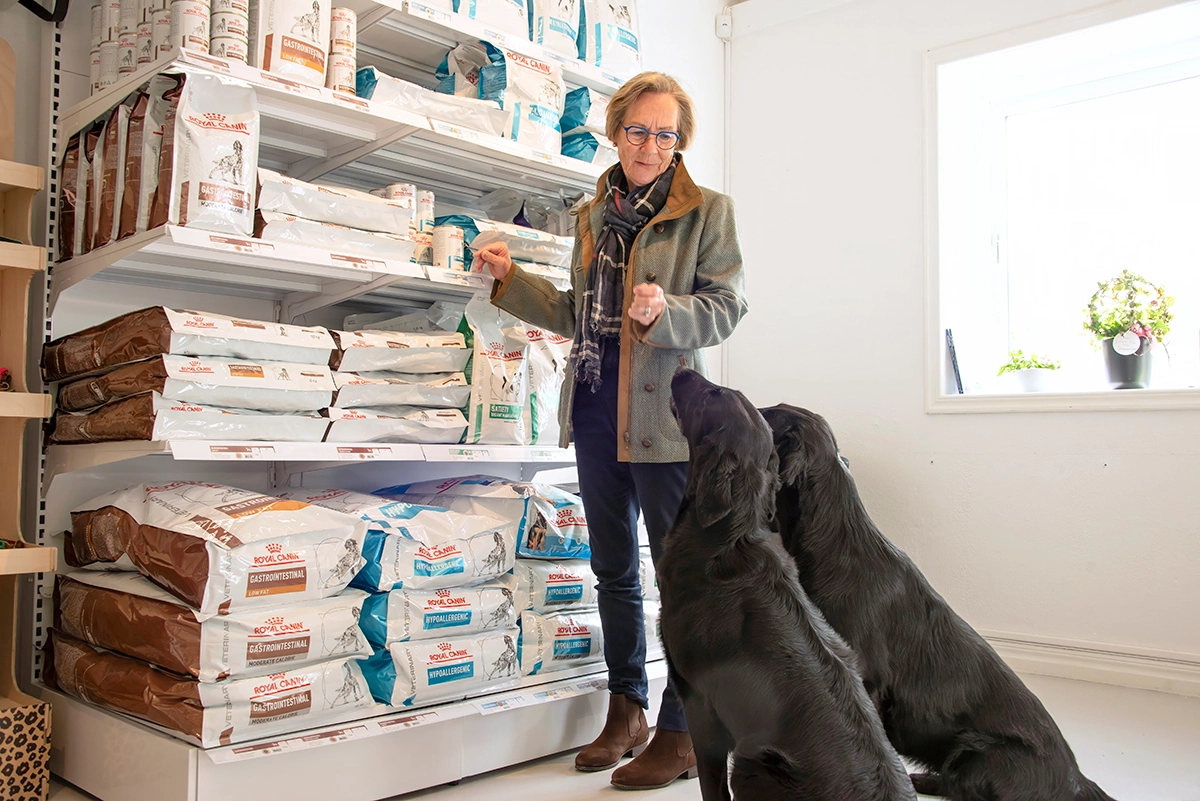 Klinikens butik med två hundar